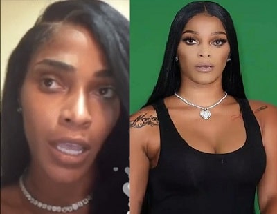 A picture of Joseline Hernandez before (left) and after (right).